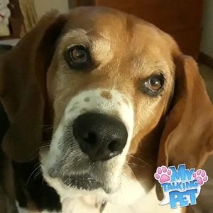 Meet your Posher, Debbie